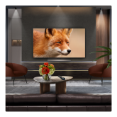 LG OLED evo AI C5 48" 4K Smart TV